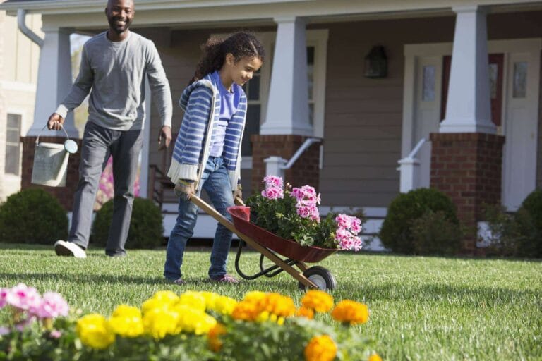 landscaping tips
