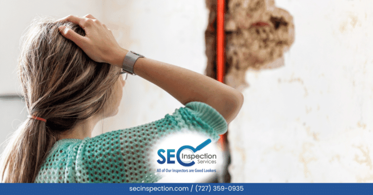 When To Walk Away After A Home Inspection: Red Flags You Can’t Ignore