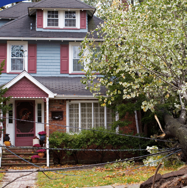 Tree fallen onto the roof of a home