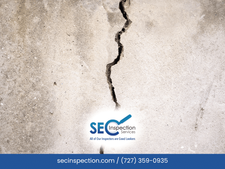 What Are “Deal Breaker” Issues in a Home Inspection in Tampa, Florida?