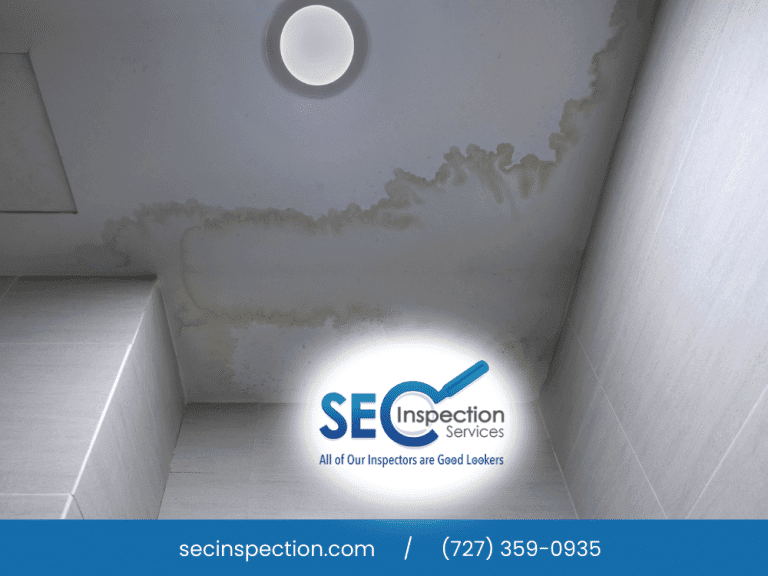 Ceiling water stains indicating potential roof leak.