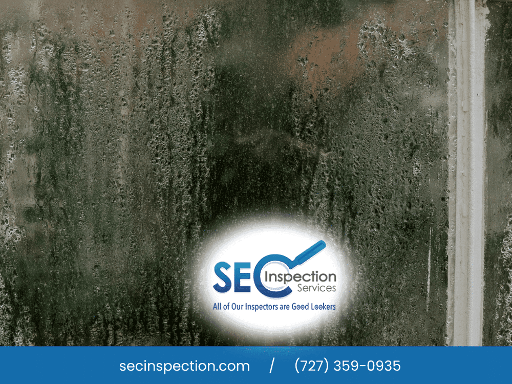 Condensation on a window showing moisture buildup, potentially indicating humidity issues.