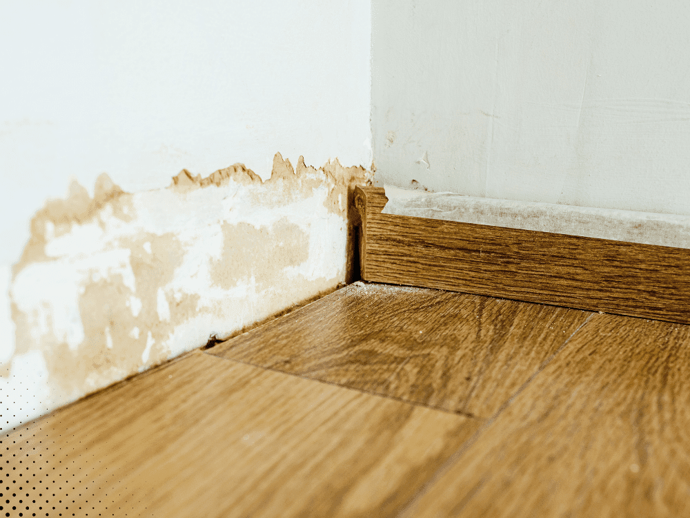 Water damage on the wall near the floor, with peeling paint and signs of moisture infiltration.