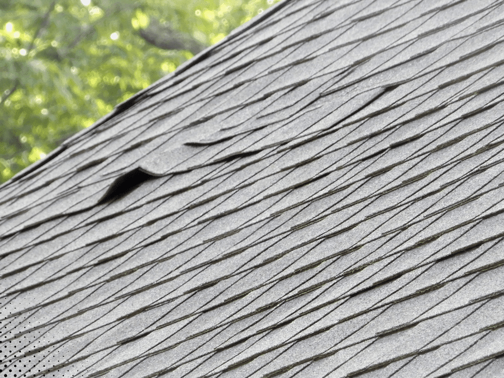 Lifted shingles on a residential roof.